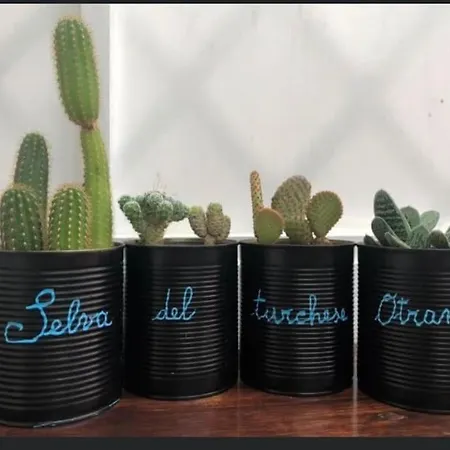 Tra Sole, Mare E Natura Apartament *